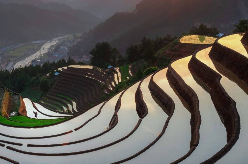 NORTHWEST VIETNAM – FIELDS WITH TRANSCENDENTAL WATERS
