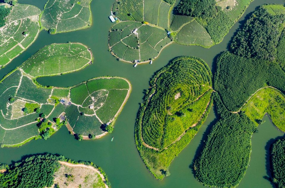 THANH CHUONG TEA ISLAND – EMERALD HEAVEN