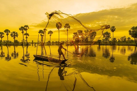 THE LAND OF PALM TREES