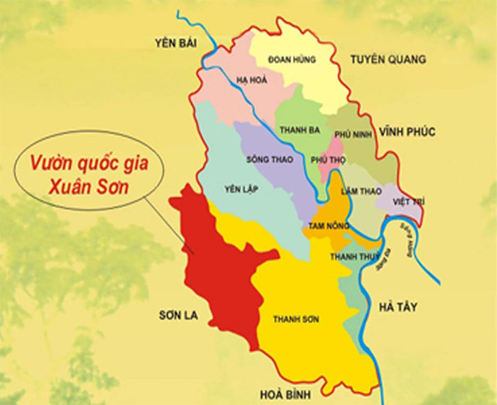 XUAN SON NATION PARK – ENJOY THE WOODS AND MOUNTAINS