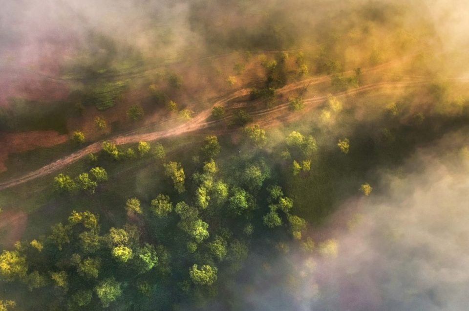 DALAT’S SWEET SERENITY