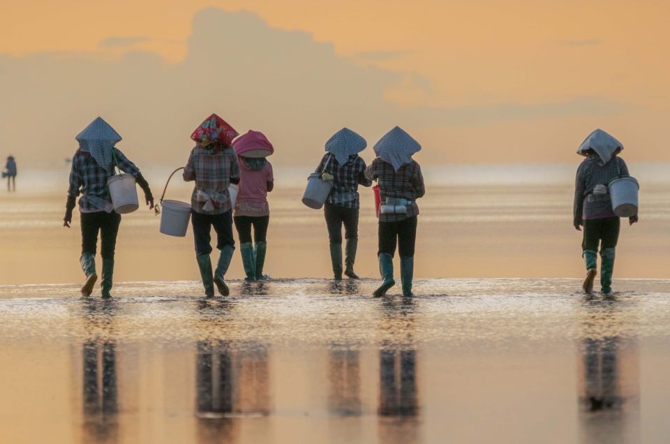 THAI BINH – THE OCEAN OF INFINITY