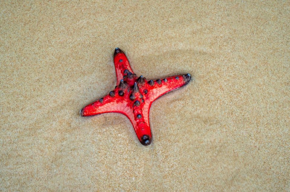 PHU QUOC – SEARCHING FOR MEMORIES